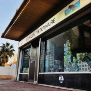 Clinique Veterinaire Saint Barnabe